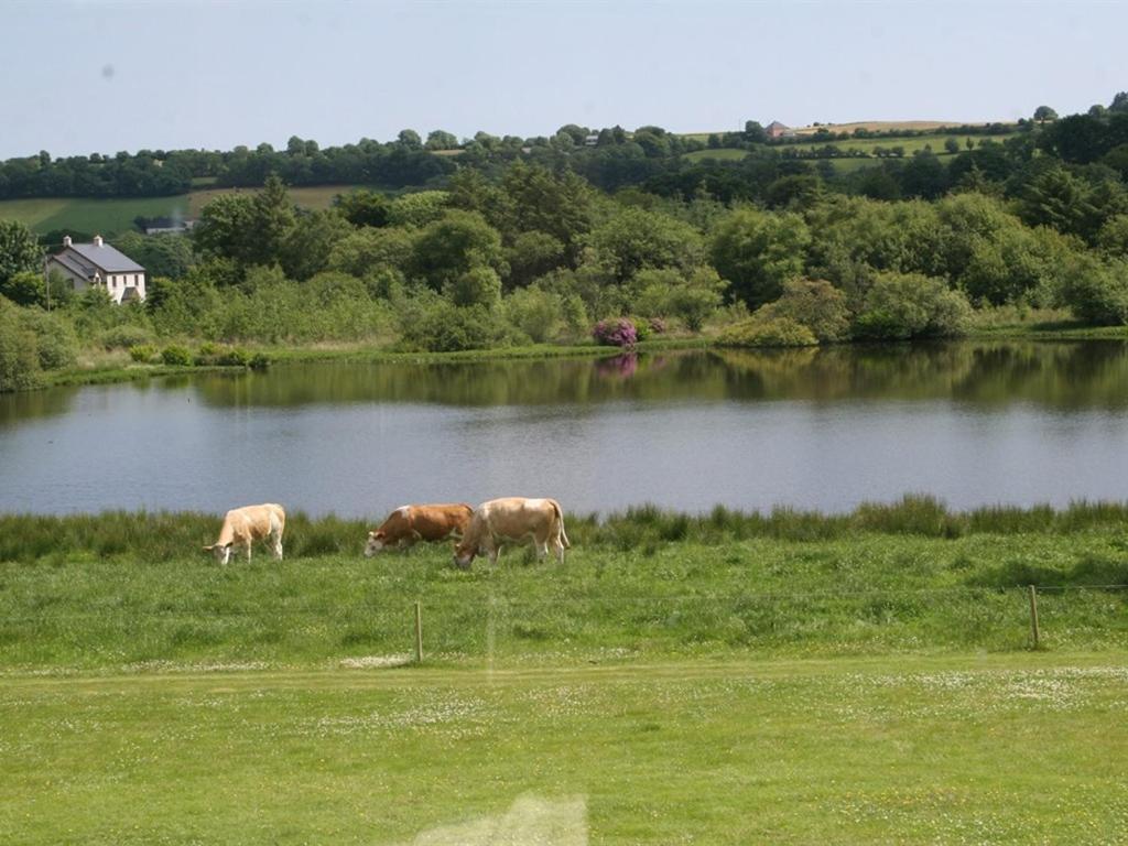 Lake House Dunmanway Exterior foto