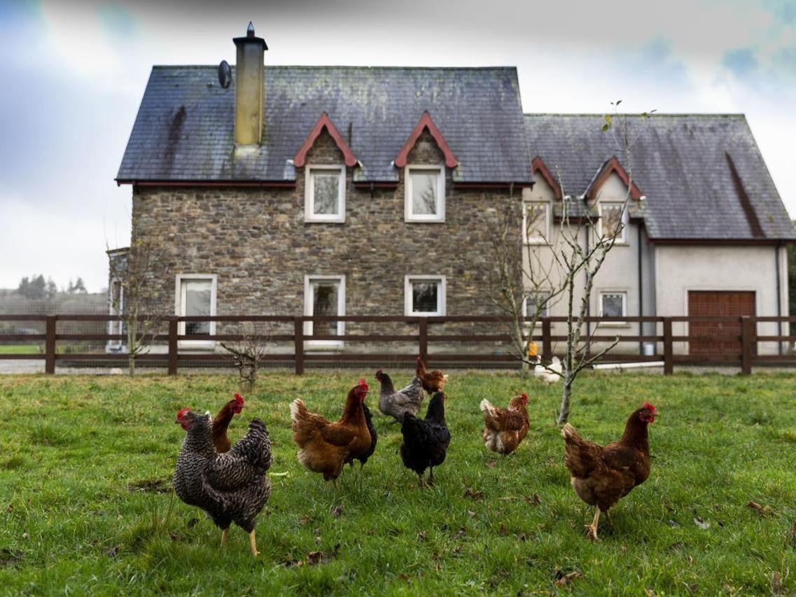 Lake House Dunmanway Exterior foto